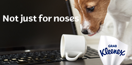 Puppy looking at a turned over cup on a keyboard